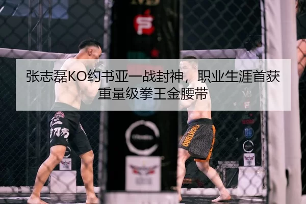 张志磊KO约书亚一战封神，职业生涯首获重量级拳王金腰带