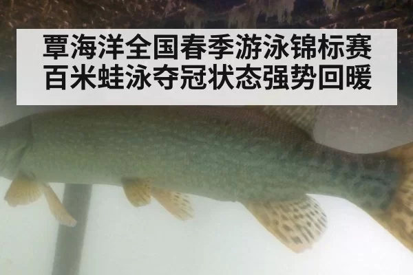 覃海洋全国春季游泳锦标赛百米蛙泳夺冠状态强势回暖