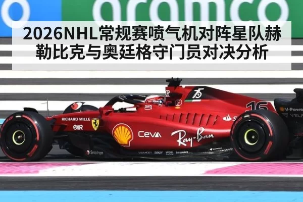 2026NHL常规赛喷气机对阵星队赫勒比克与奥廷格守门员对决分析